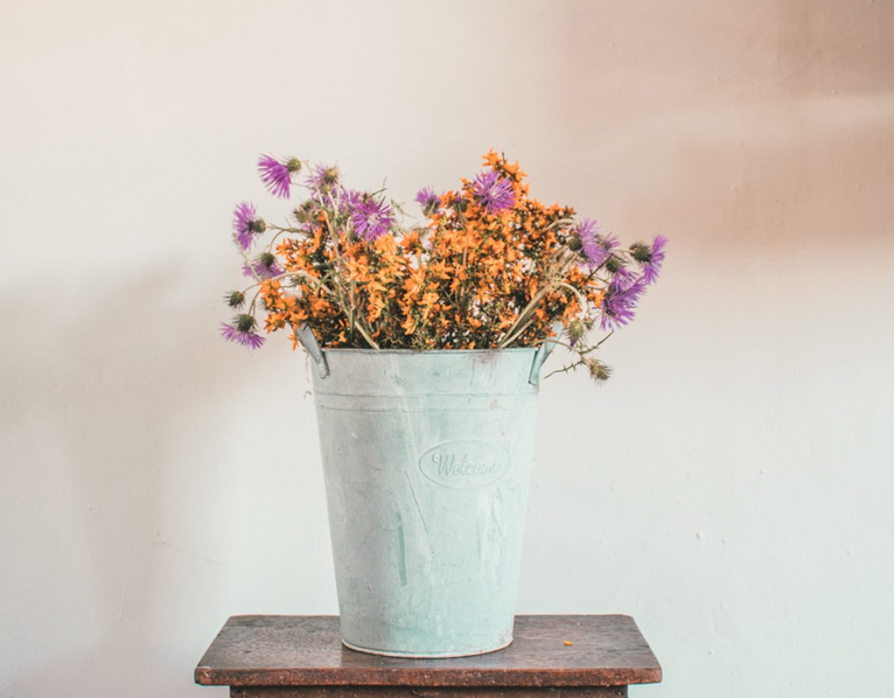 Casa Azul - CERRO DA FONTINHA - Country House, Alentejo