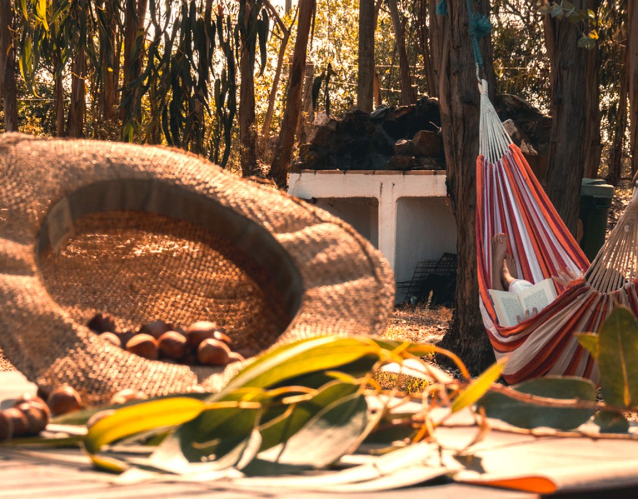 Casa Azul - CERRO DA FONTINHA - Country House, Alentejo